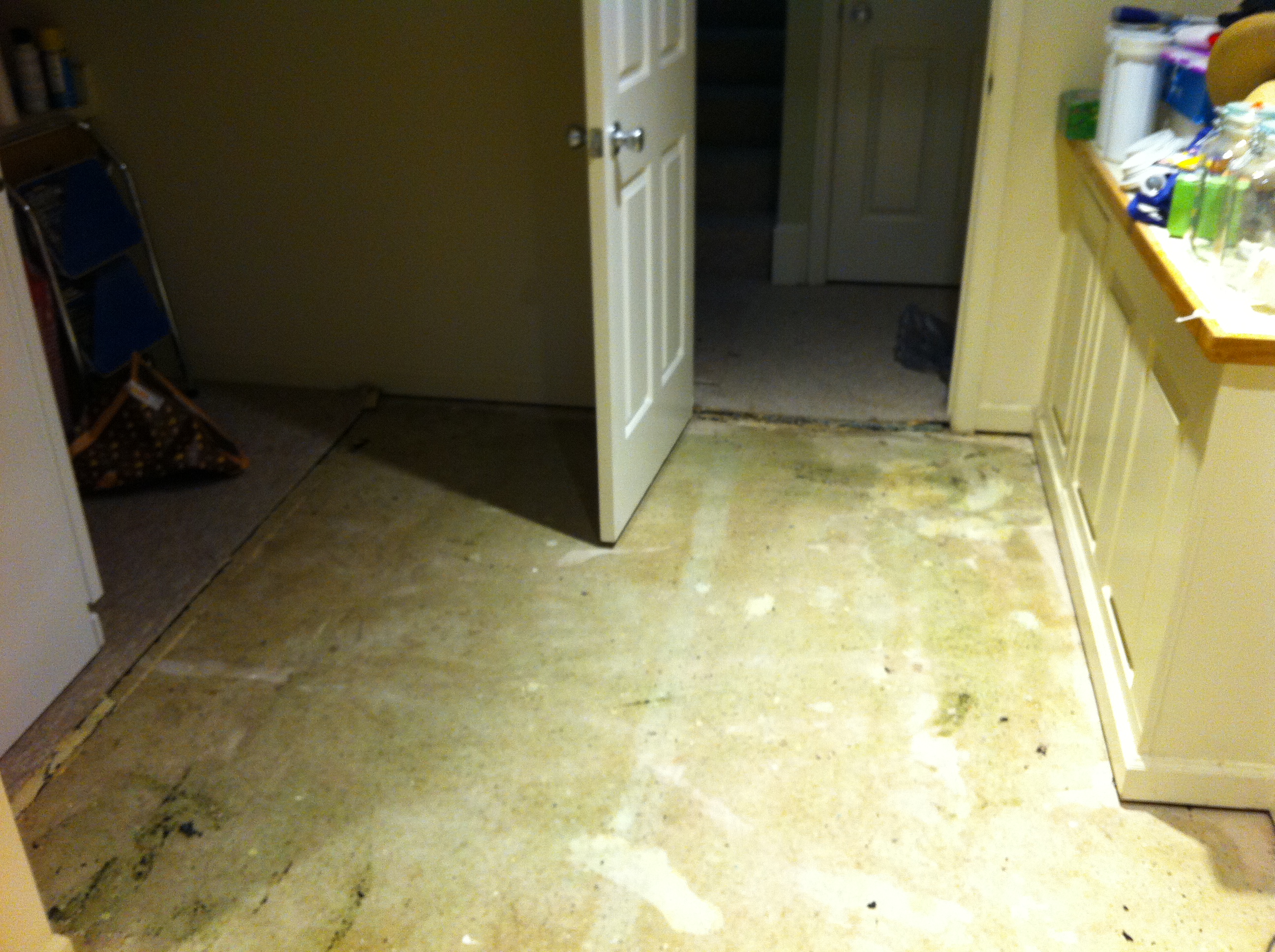 Removed carpet (glue is still there)